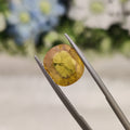Yellow Sapphire | YS 171 | 6.34 Carat