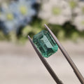 Emerald | EM 148 | 3.07 Carat