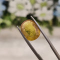 Yellow Sapphire | YS 163 | 5.53 Carat