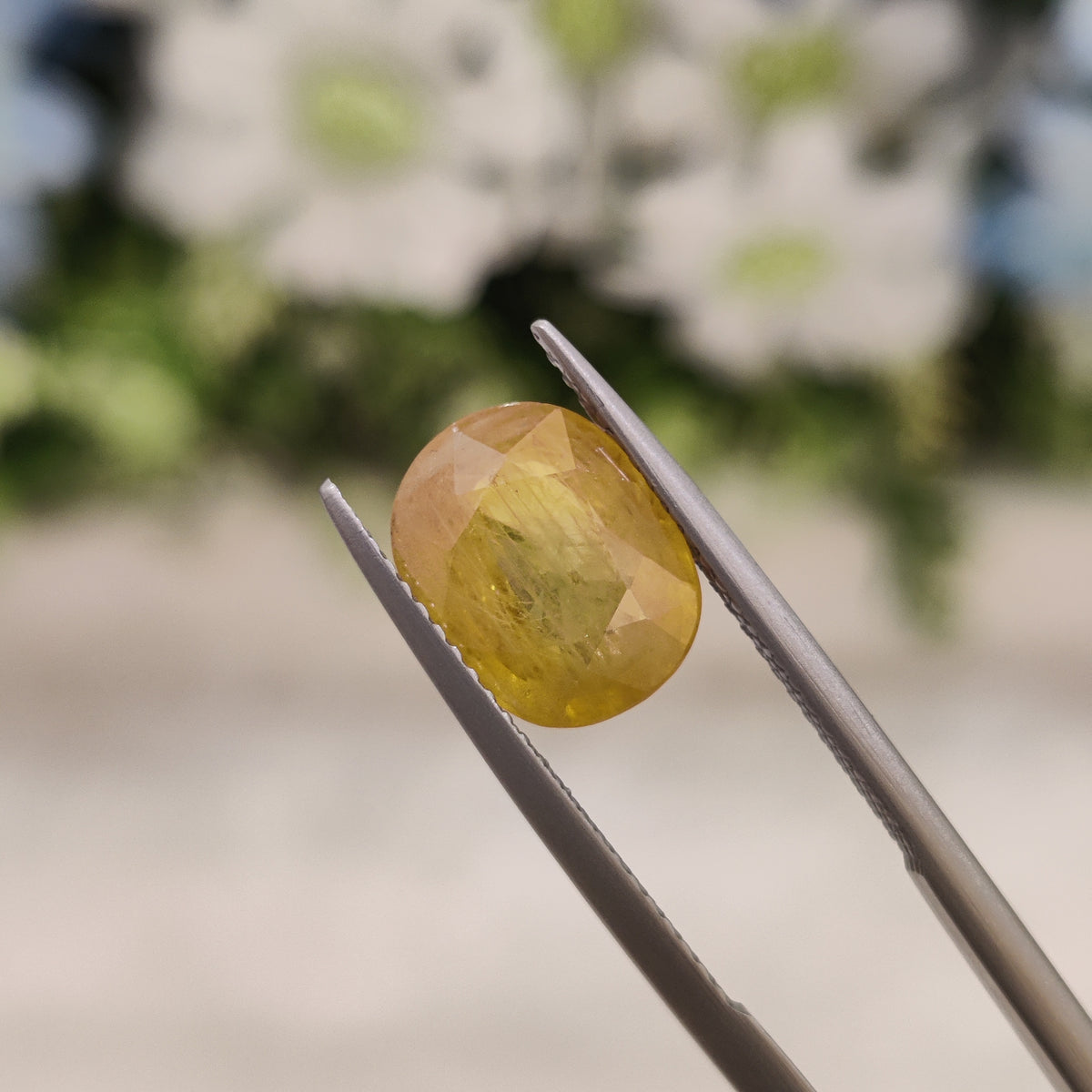Natural Yellow Sapphire (Pukhraj) | YS 55 | 3.78 Carat | Certified