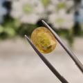 Yellow Sapphire | YS 98 | 3.7 Carat