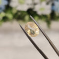 Yellow Sapphire | YS 46 | 3.62 Carat
