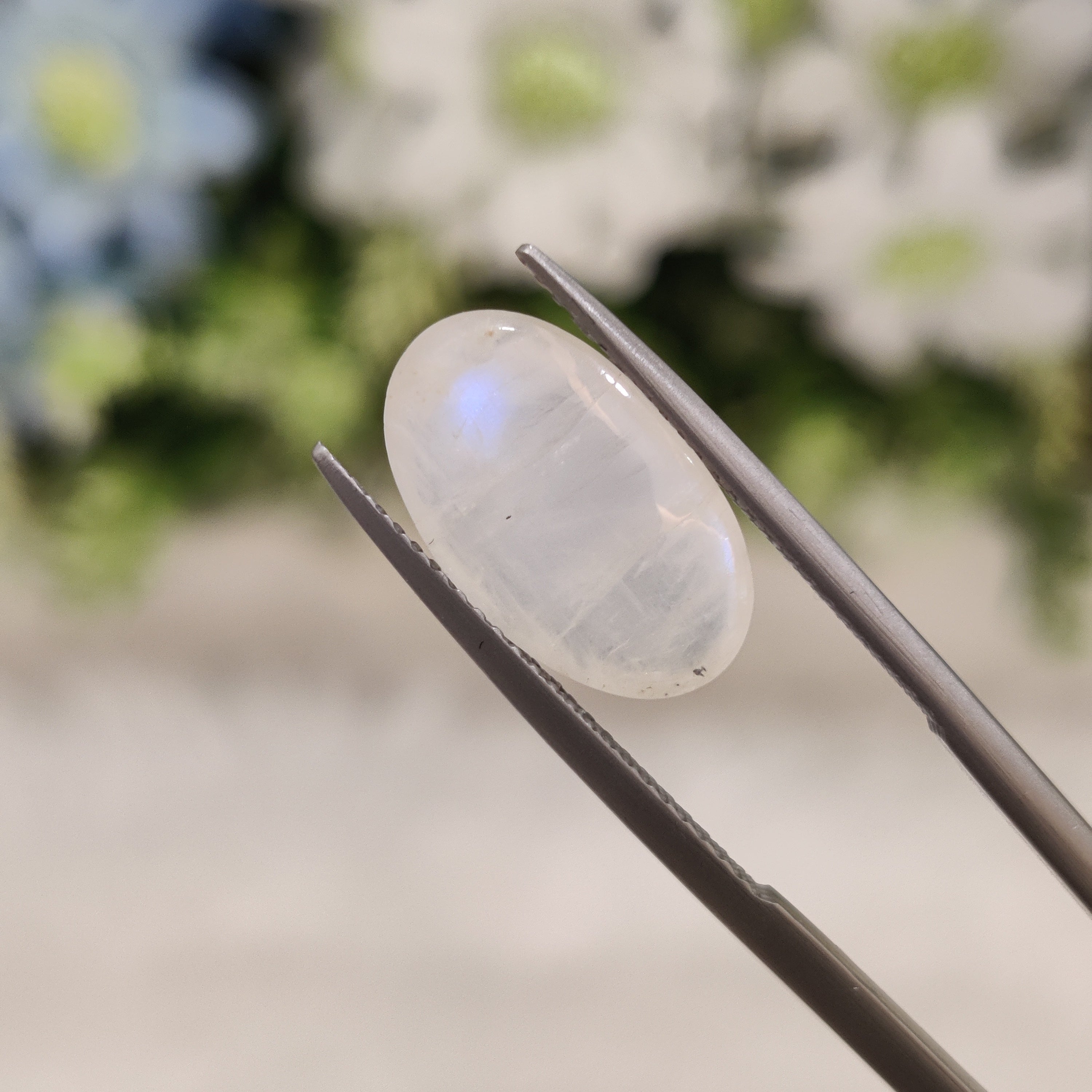 Blue Moonstone | BMS 3 | 4.95 Carat