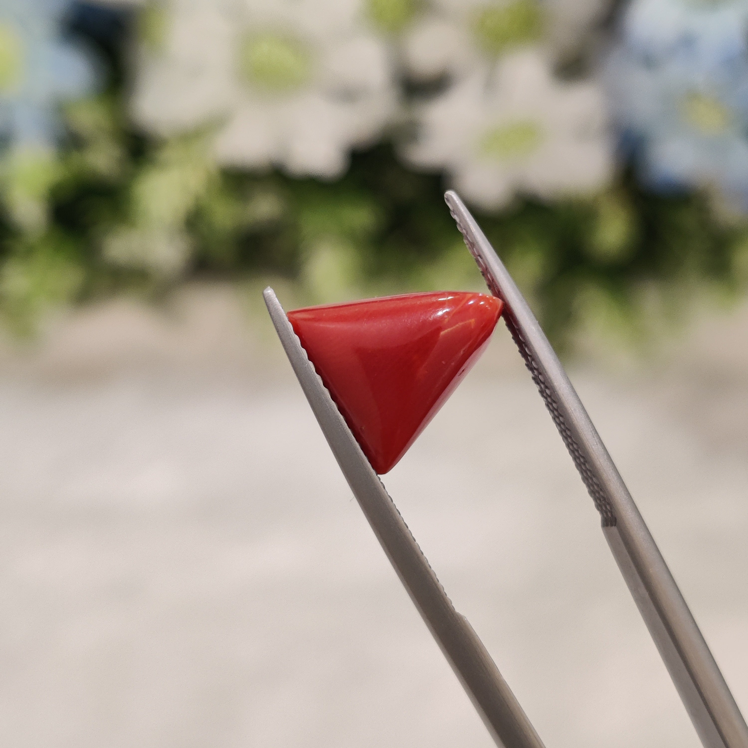 Coral | CORAL 68 | 4.67 Carat