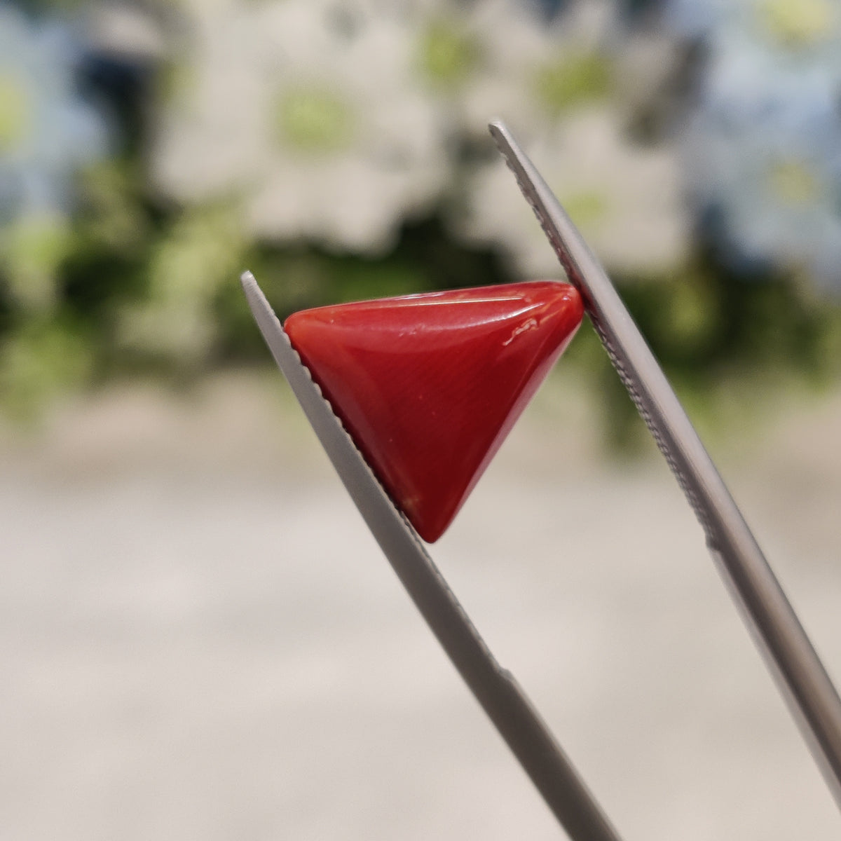 Natural Coral (Moonga) | Coral 55 | 4.56 Carat | Certified