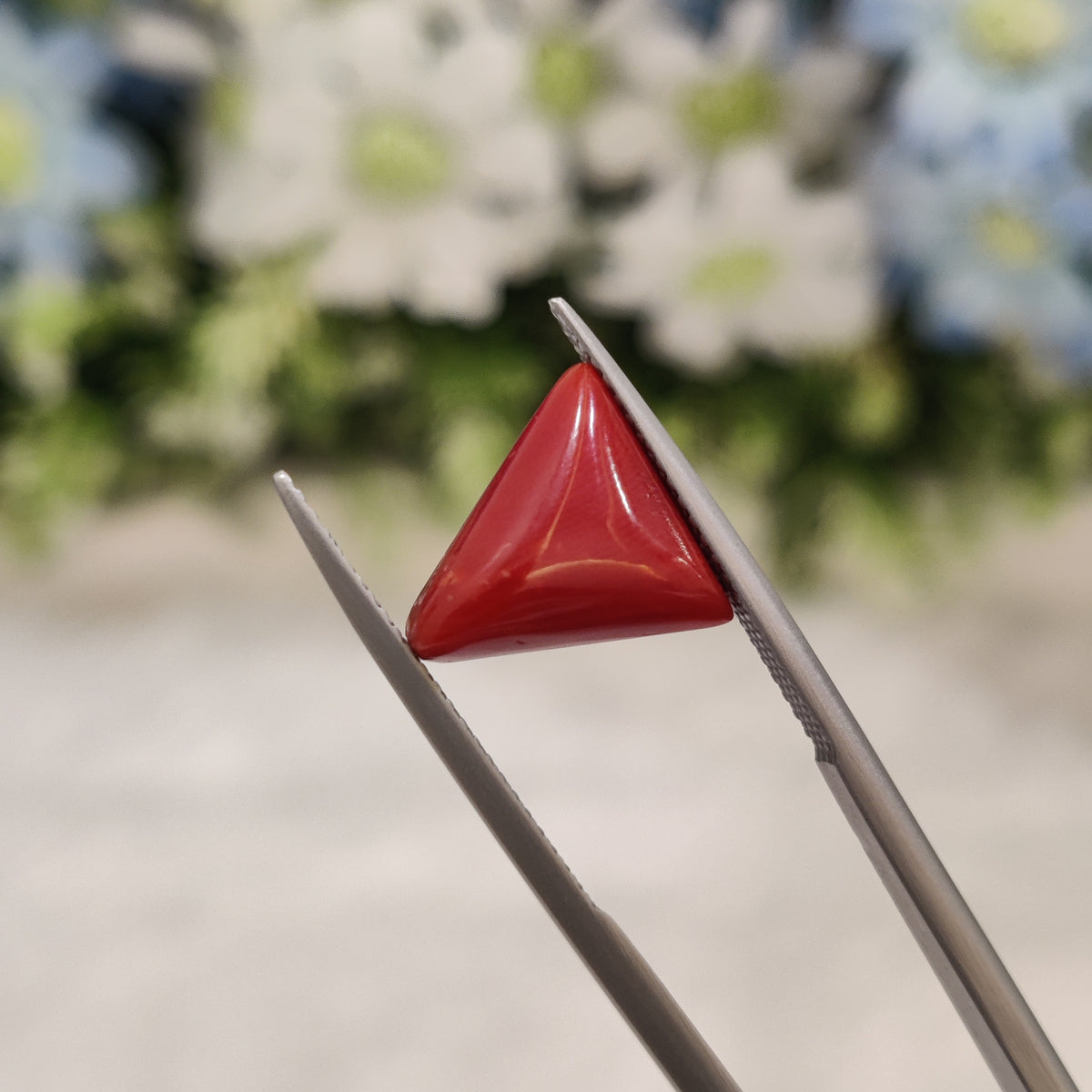 Natural Coral (Moonga) | Coral 55 | 4.56 Carat | Certified