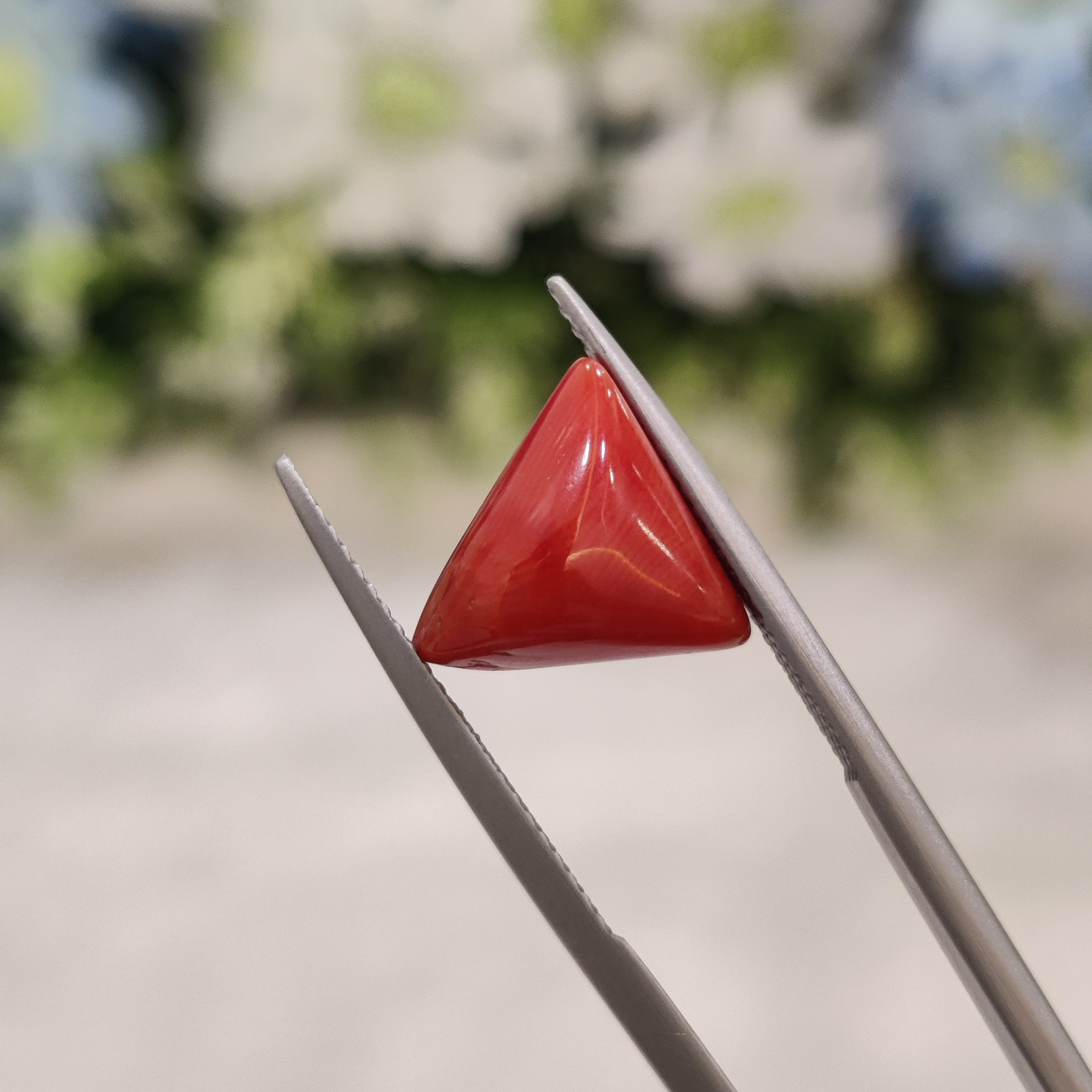 Coral | CORAL 59 | 4.86 Carat