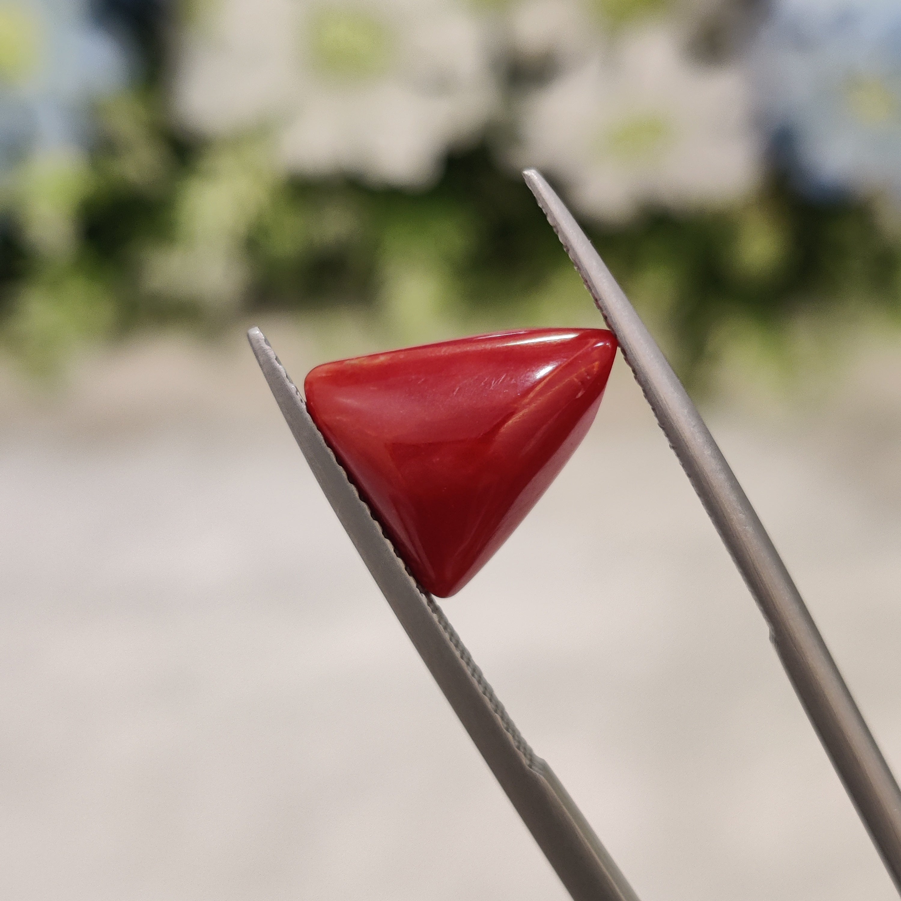 Coral | CORAL 49 | 4.9 Carat