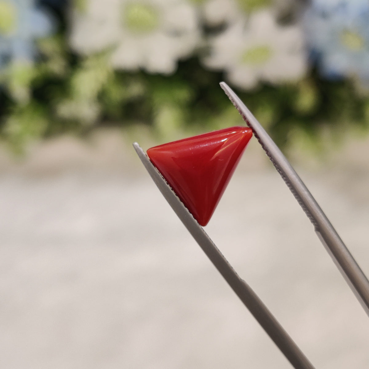 Natural Coral (Moonga) | Coral 57 | 4.68 Carat | Certified