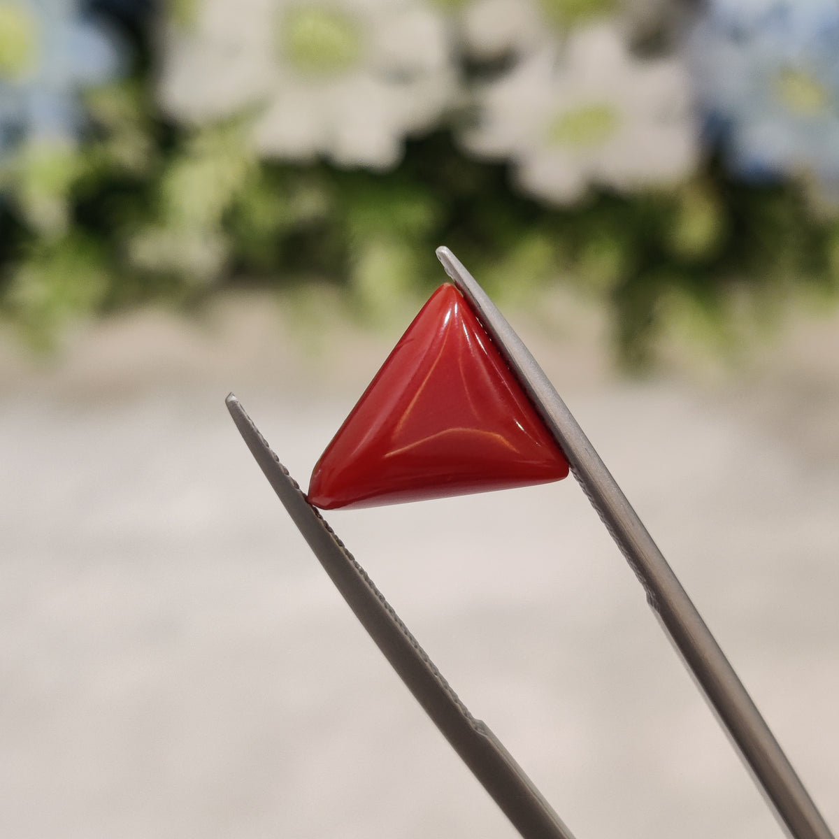 Natural Coral (Moonga) | Coral 57 | 4.68 Carat | Certified
