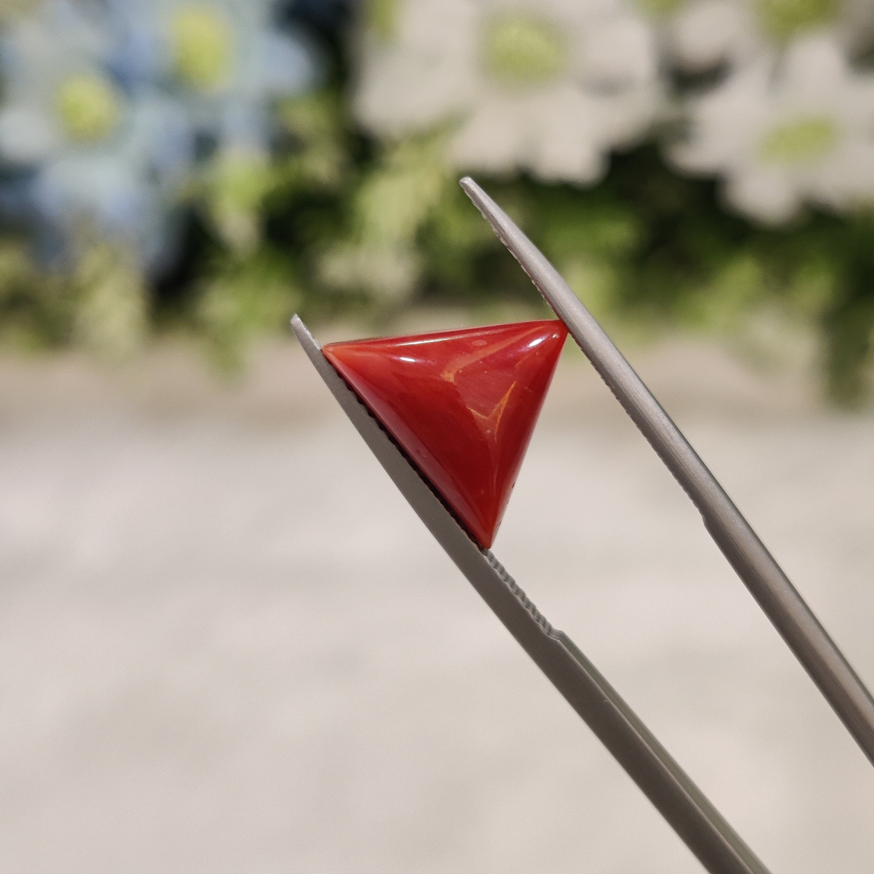 Coral | CORAL 69 | 4.76 Carat