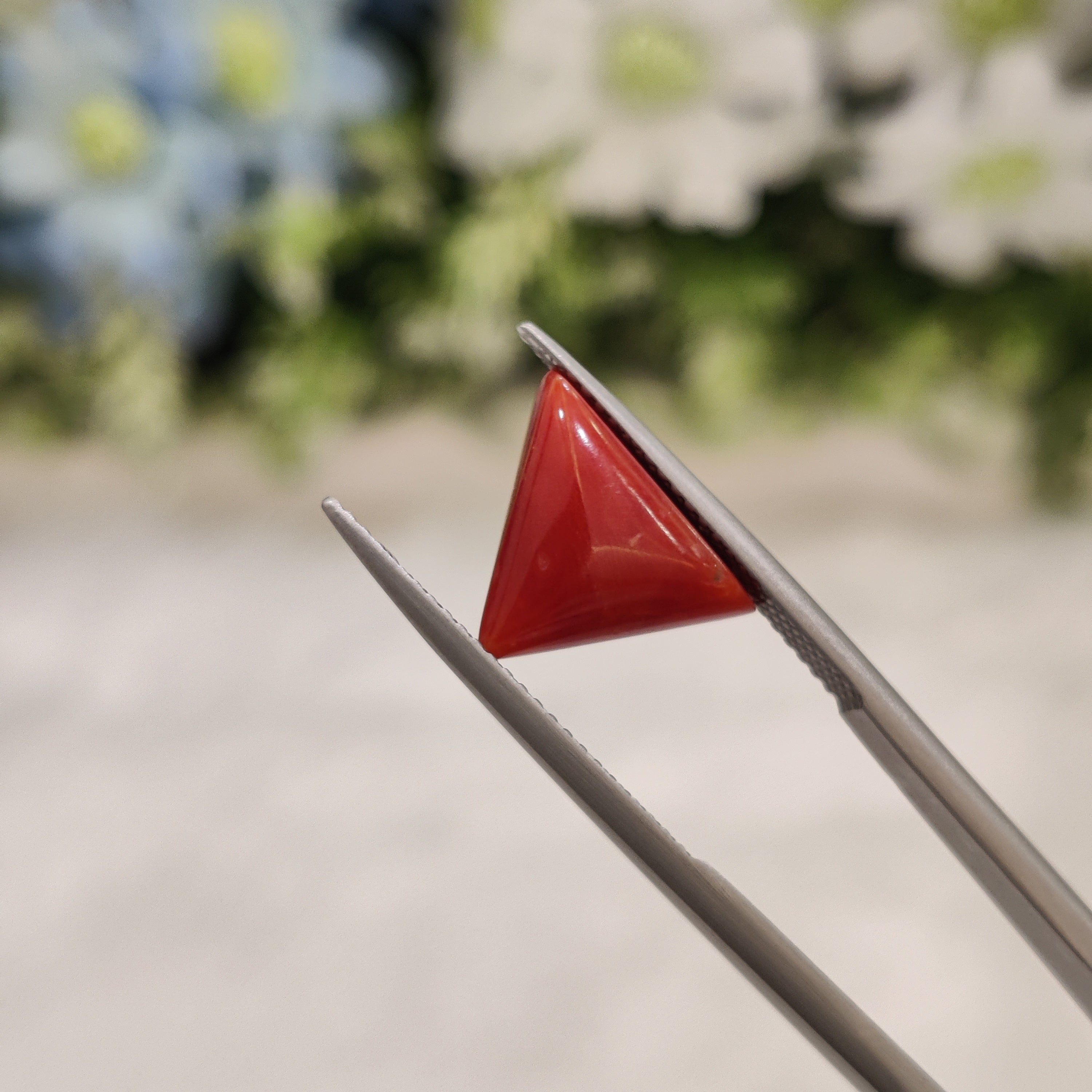 Coral | CORAL 69 | 4.76 Carat