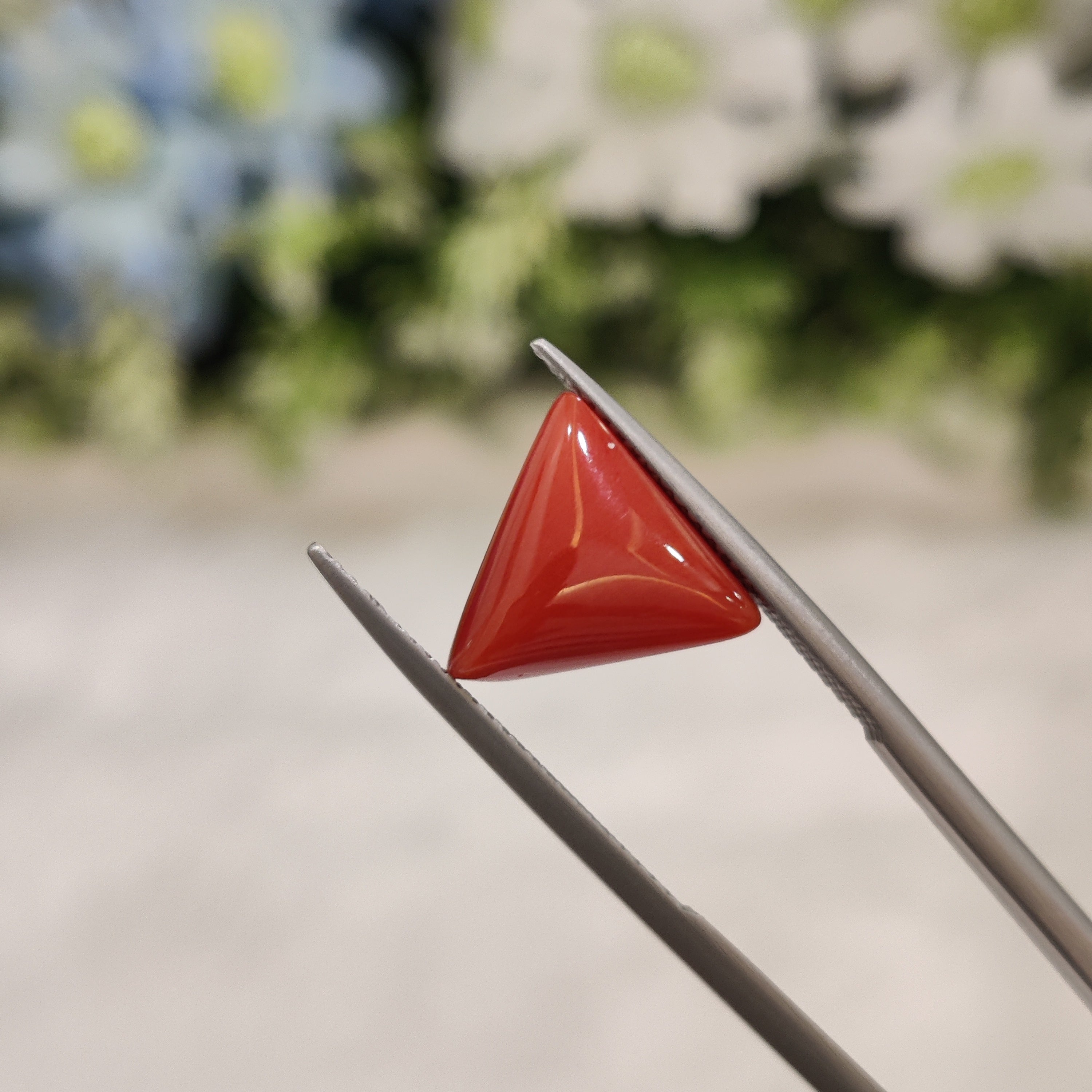 Coral | CORAL 21 | 4.55 Carat