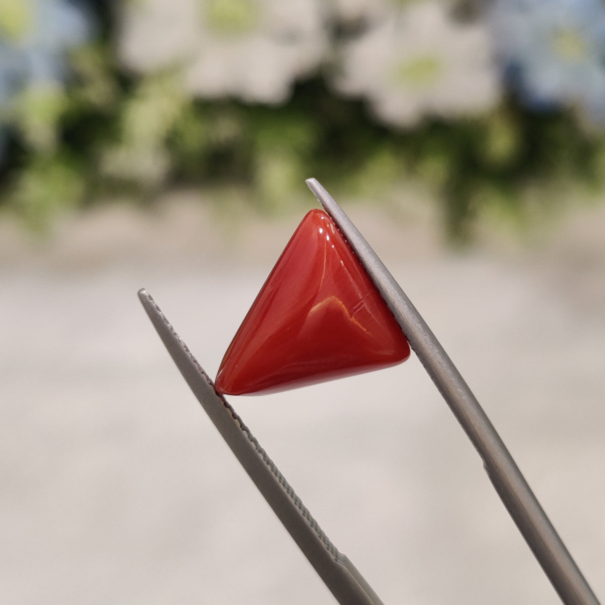 Natural Coral (Moonga) | Coral 56 | 4.86 Carat | Certified