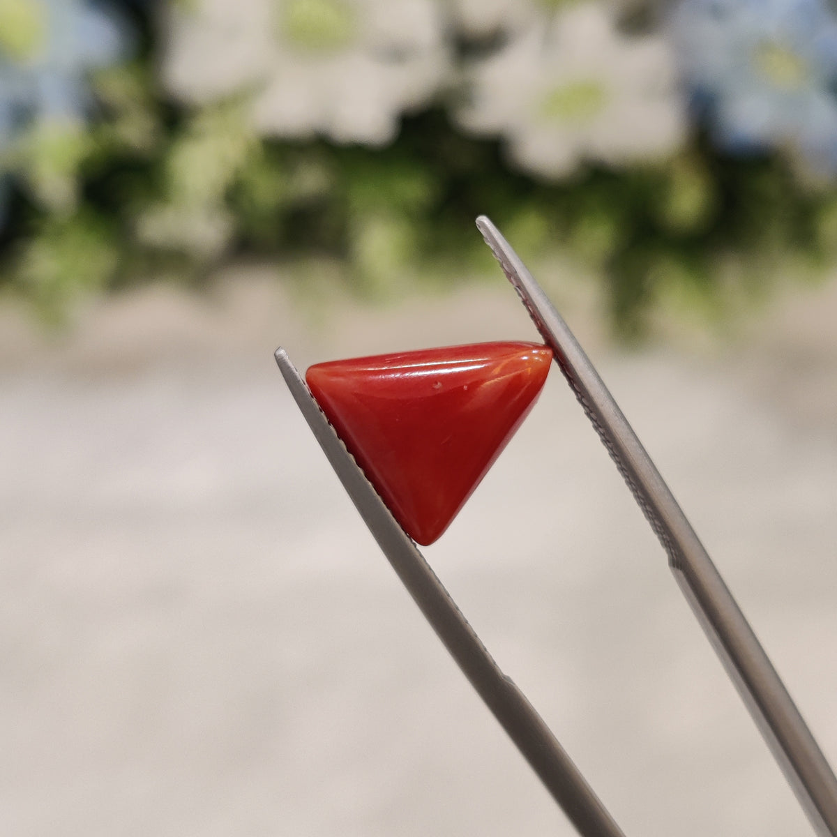 Natural Coral (Moonga) | Coral 56 | 4.86 Carat | Certified