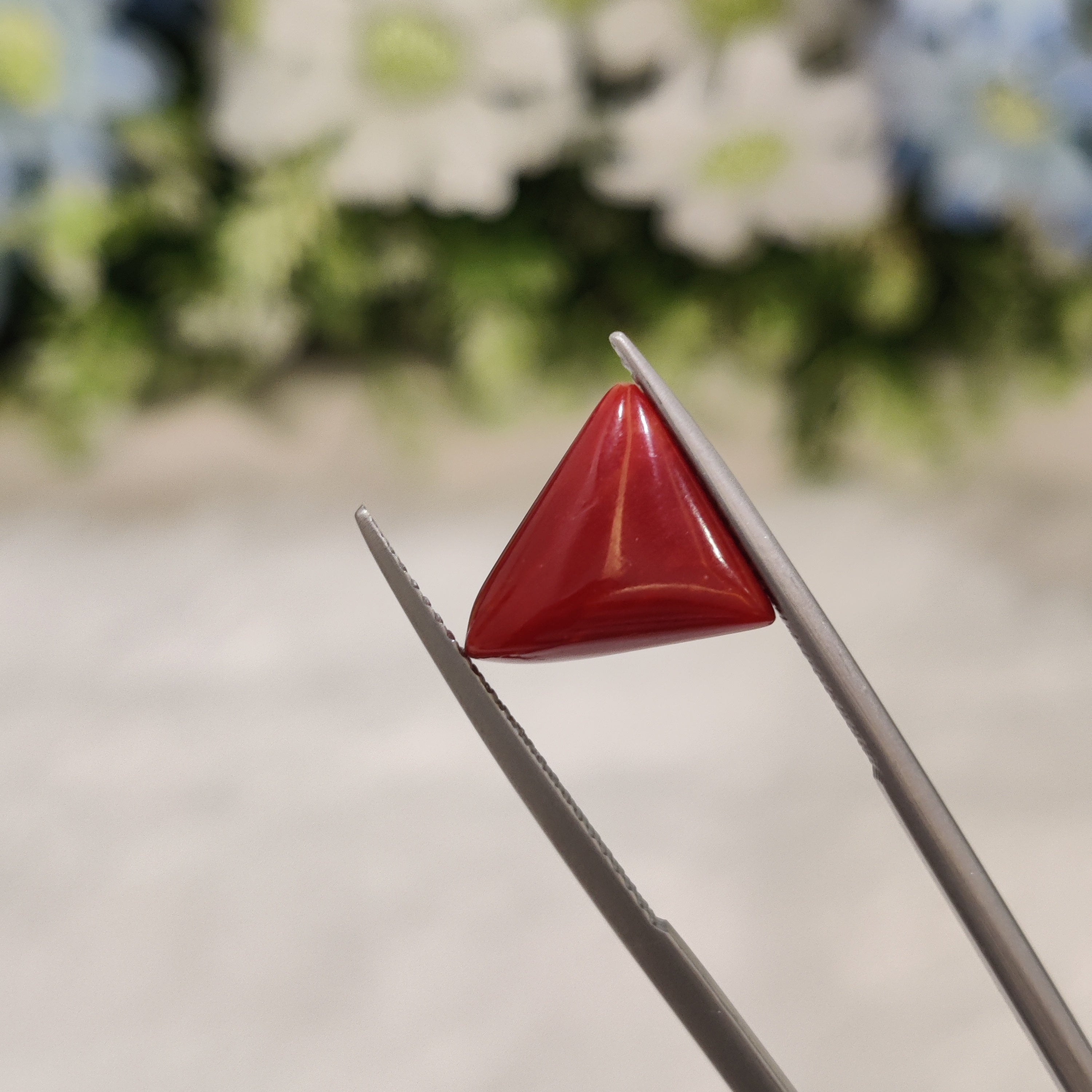 Coral | CORAL 62 | 4.87 Carat