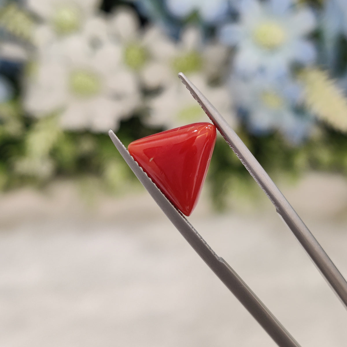 Natural Coral (Moonga) | Coral 18 | 3.91 Carat | Certified