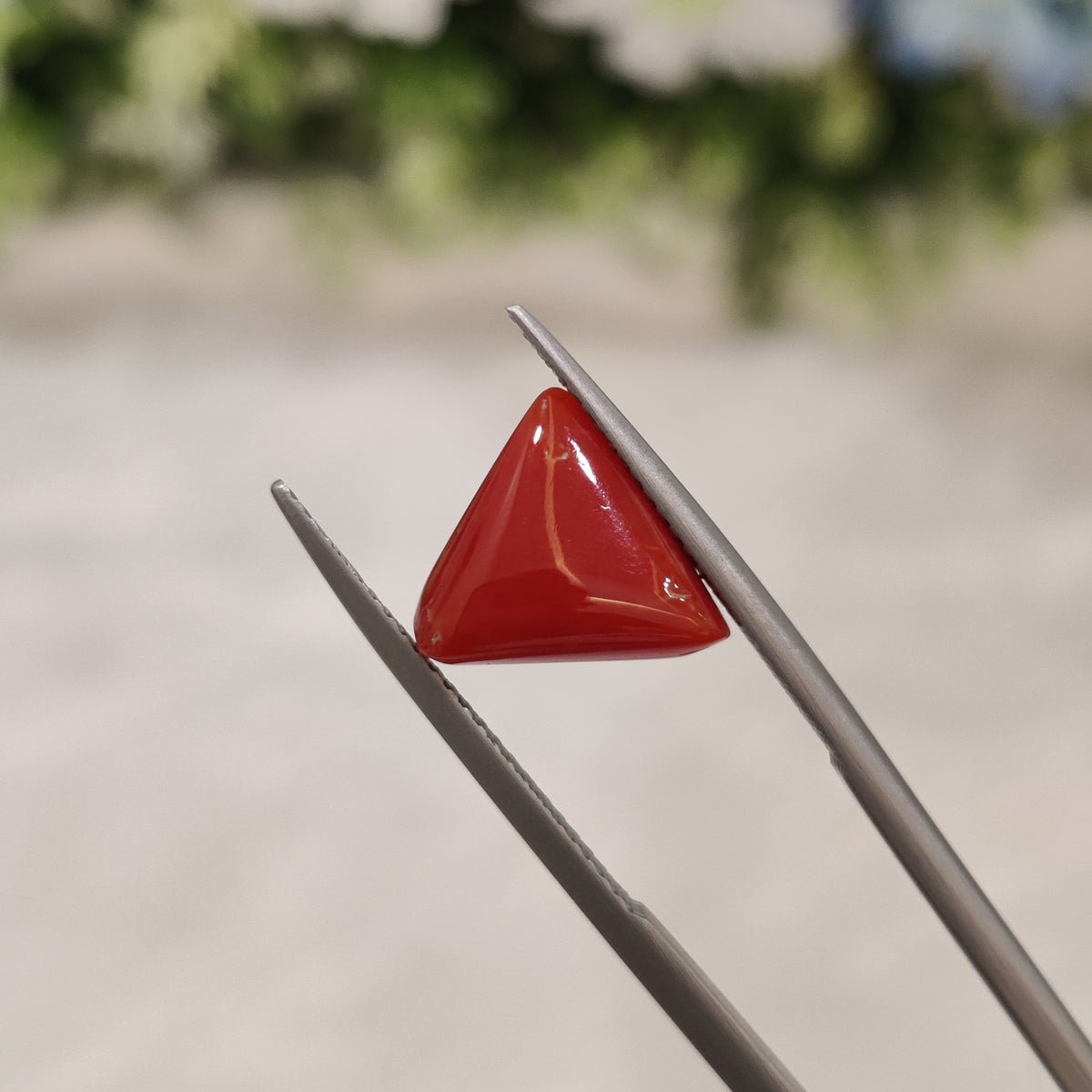 Natural Coral (Moonga) | Coral 18 | 3.91 Carat | Certified