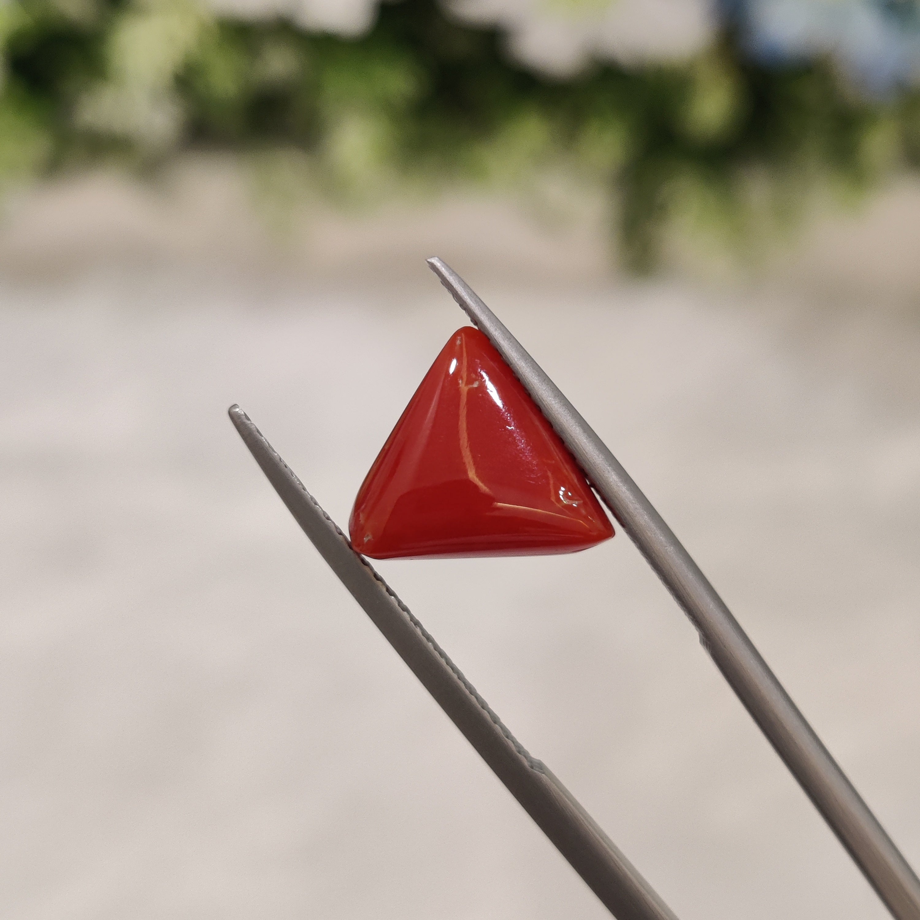 Coral | CORAL 18 | 3.91 Carat