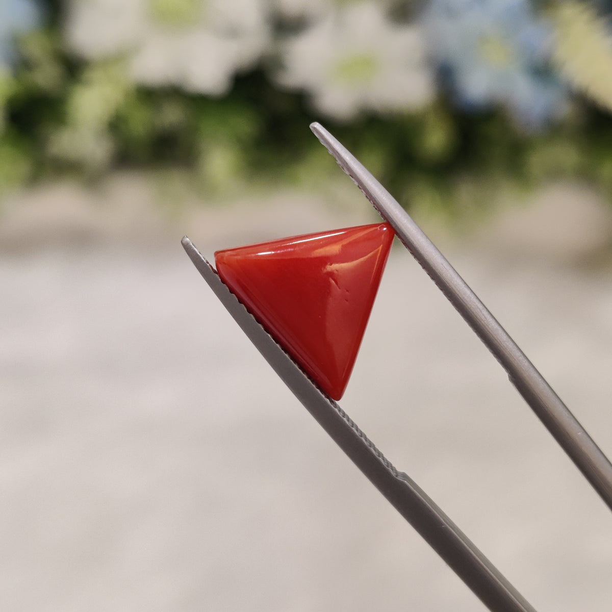 Natural Coral (Moonga) | Coral 74 | 3.35 Carat | Certified