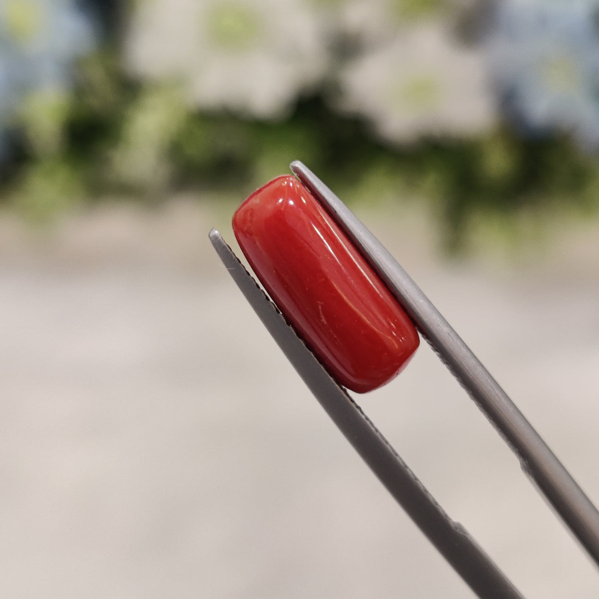 Natural Coral (Moonga) | Coral 32 | 3.44 Carat | Certified