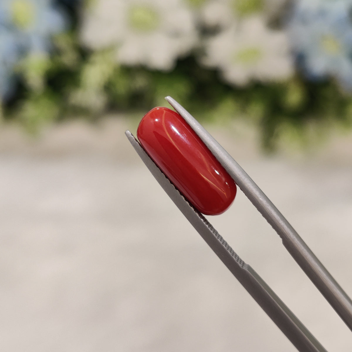 Natural Coral (Moonga) | Coral 37 | 3.82 Carat | Certified