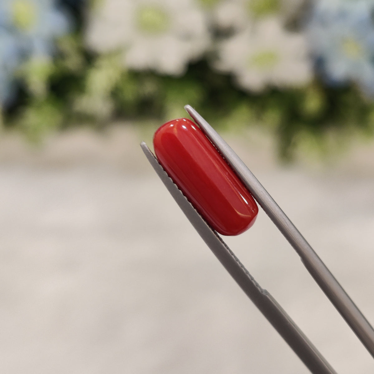 Natural Coral (Moonga) | Coral 37 | 3.82 Carat | Certified