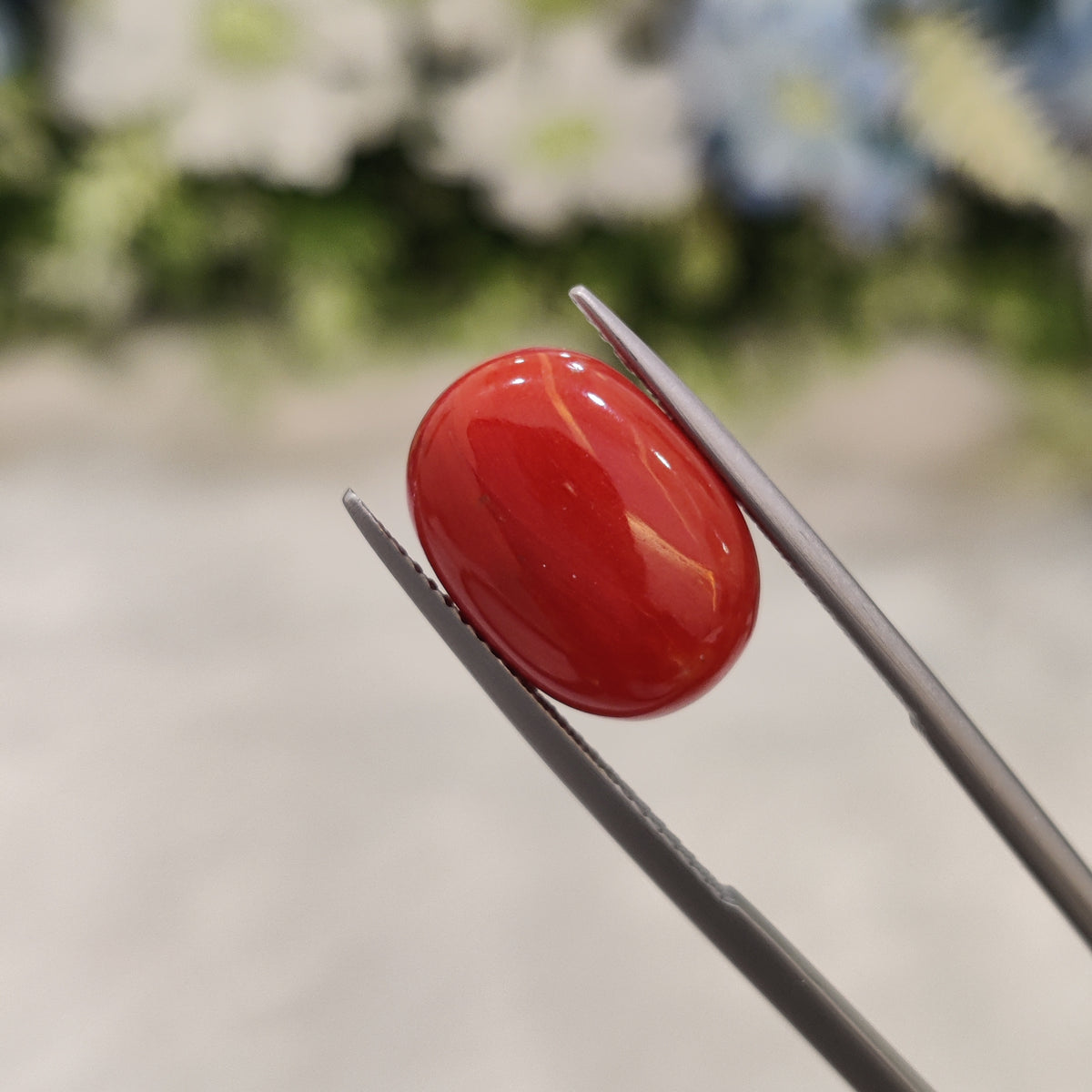 Natural Coral (Moonga) | Coral 73 | 6.9 Carat | Certified