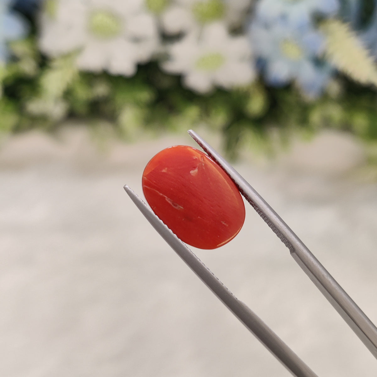 Natural Coral (Moonga) | Coral 73 | 6.9 Carat | Certified