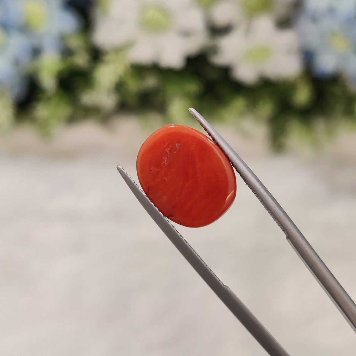 Natural Coral (Moonga) | Coral 72 | 6.68 Carat | Certified