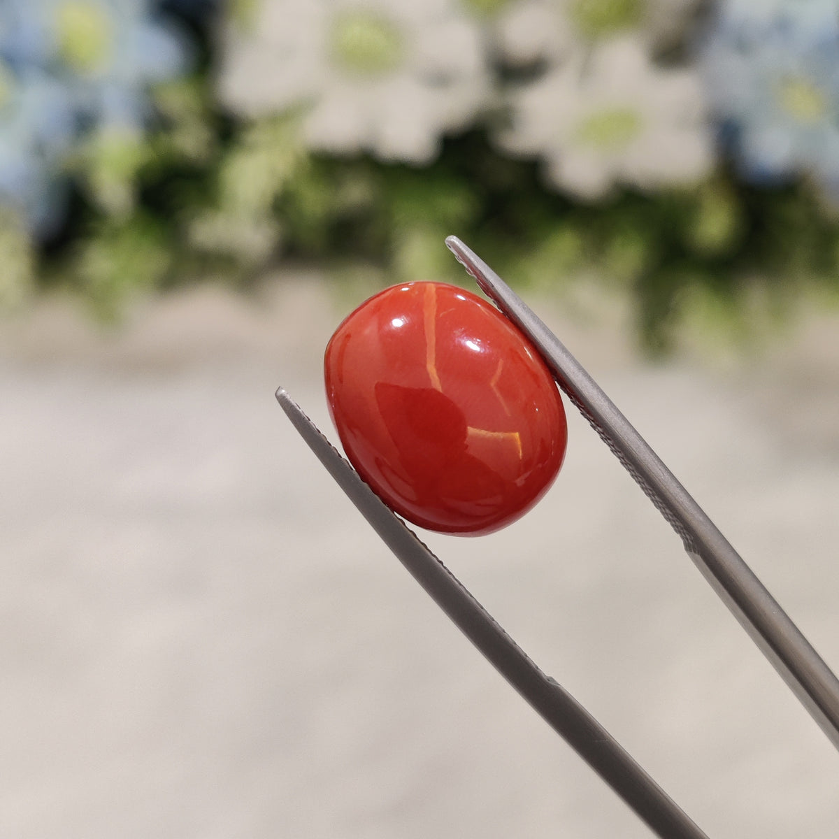 Natural Coral (Moonga) | Coral 72 | 6.68 Carat | Certified