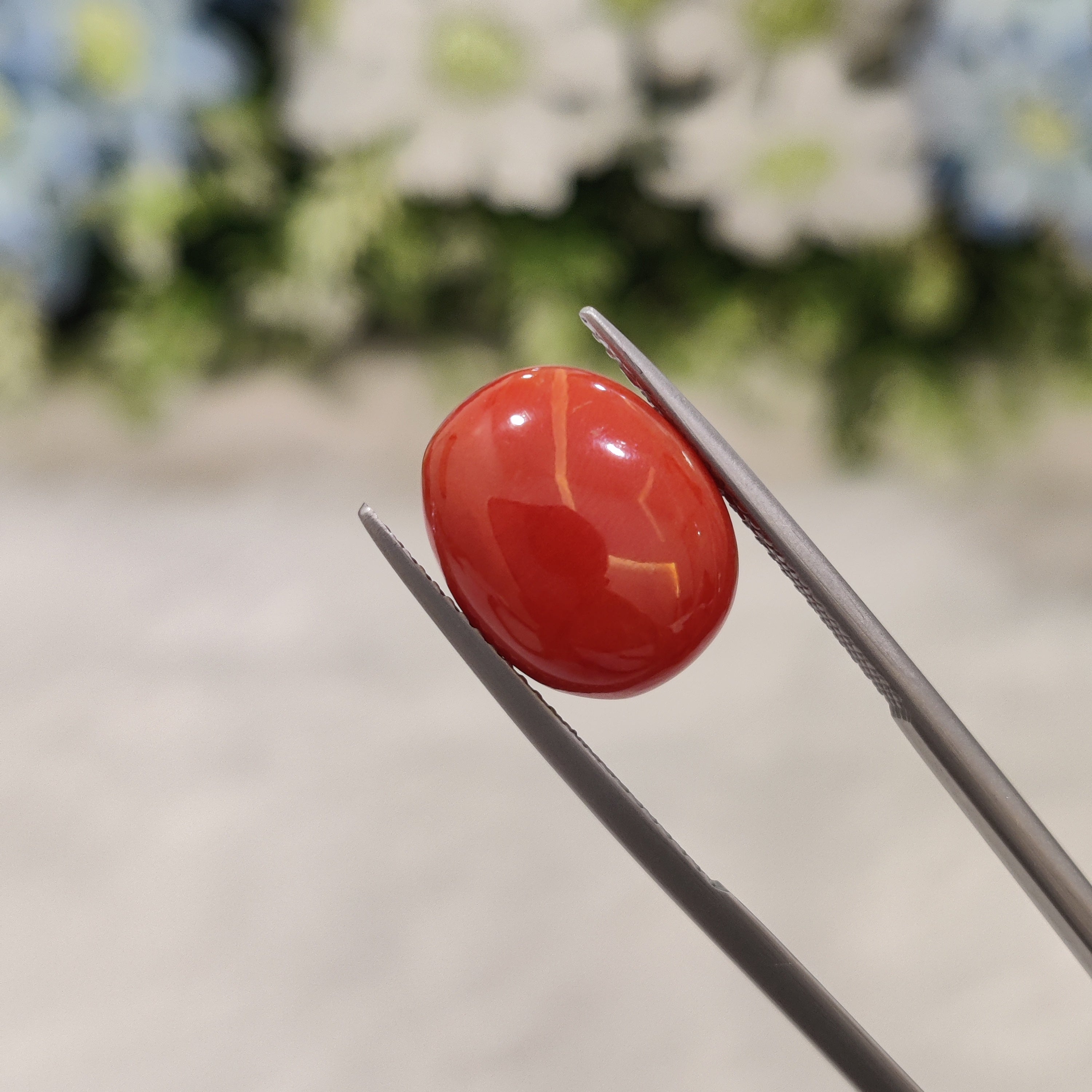 Coral | CORAL 72 | 6.68 Carat