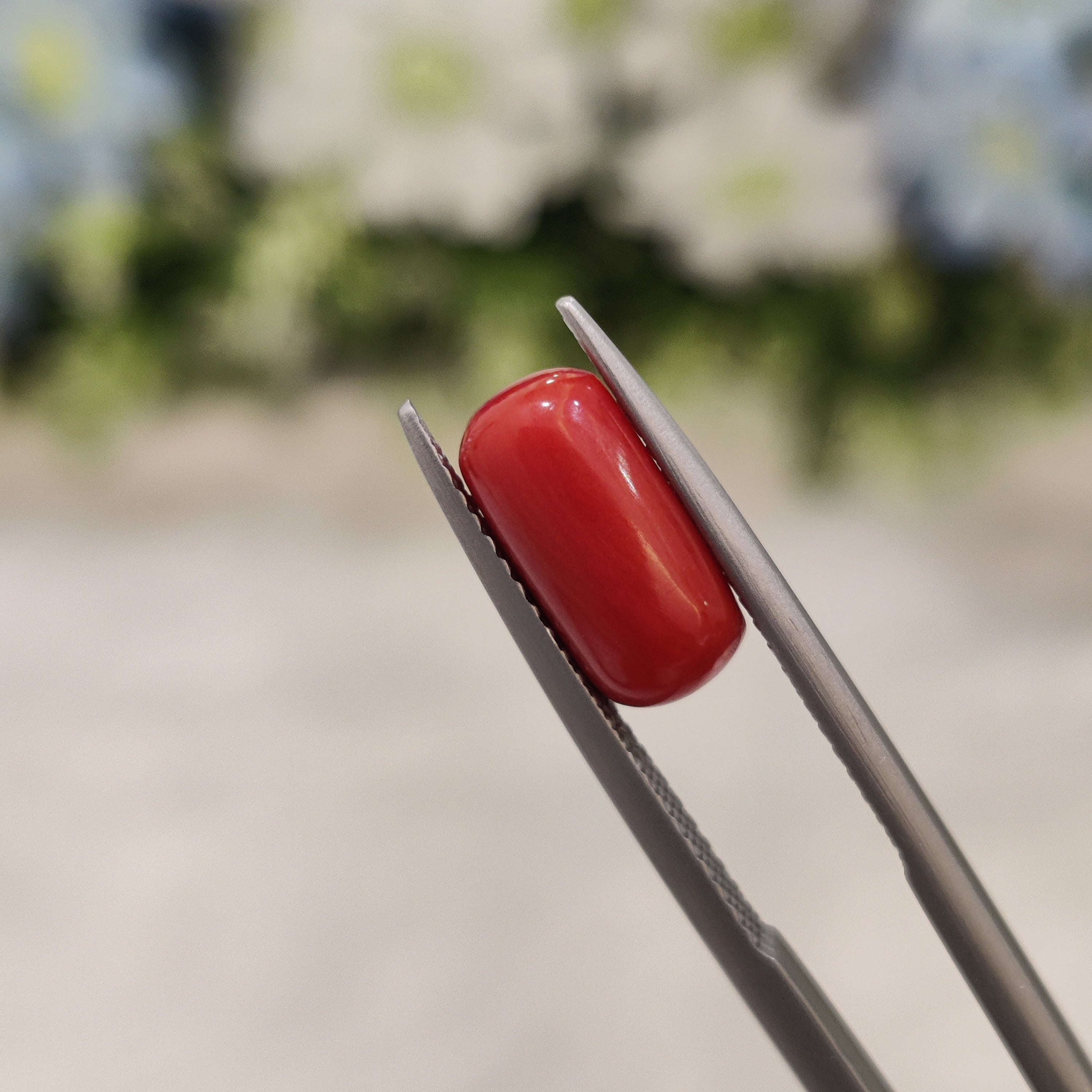 Coral | CORAL 29 | 2.94 Carat