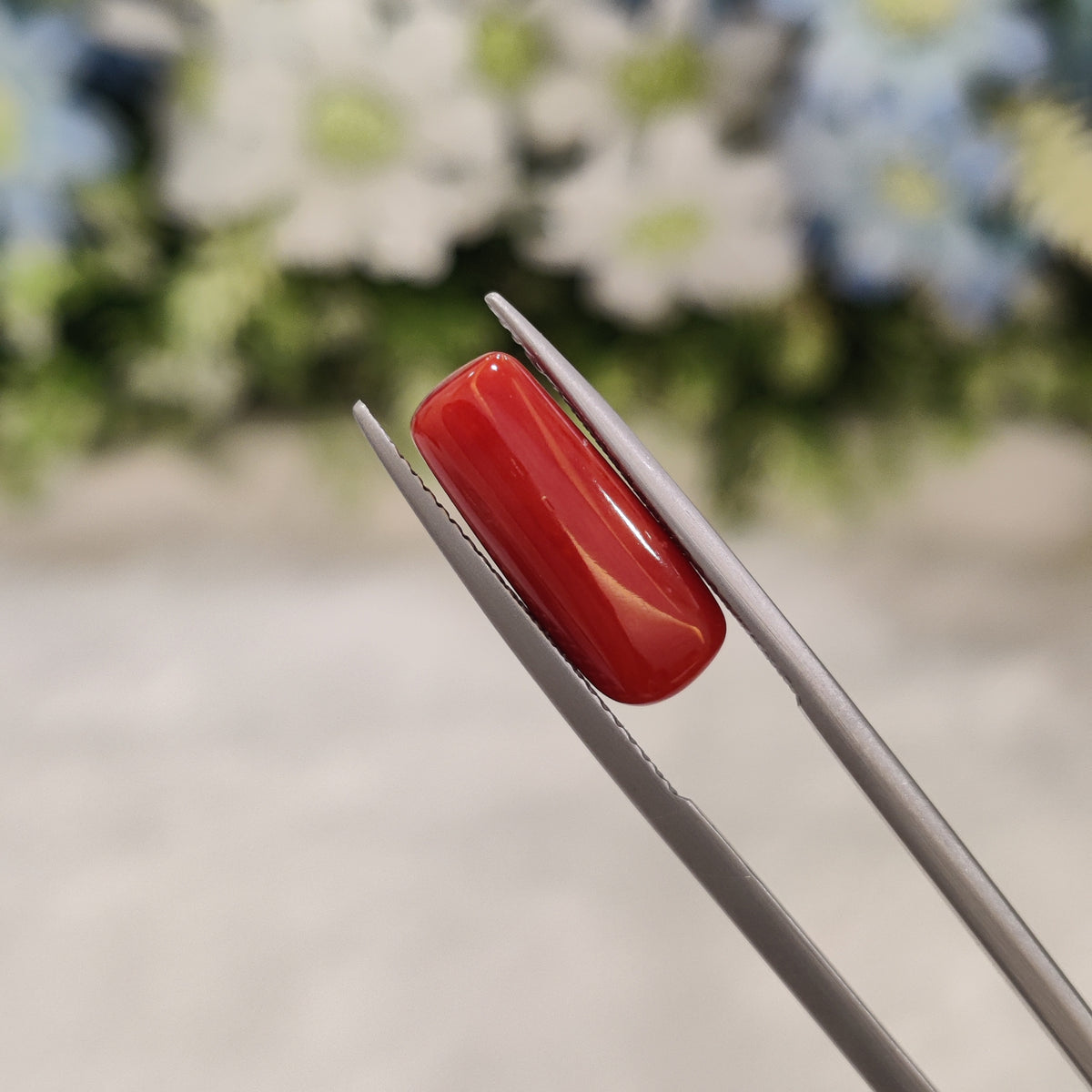 Natural Coral (Moonga) | Coral 41 | 5.17 Carat | Certified