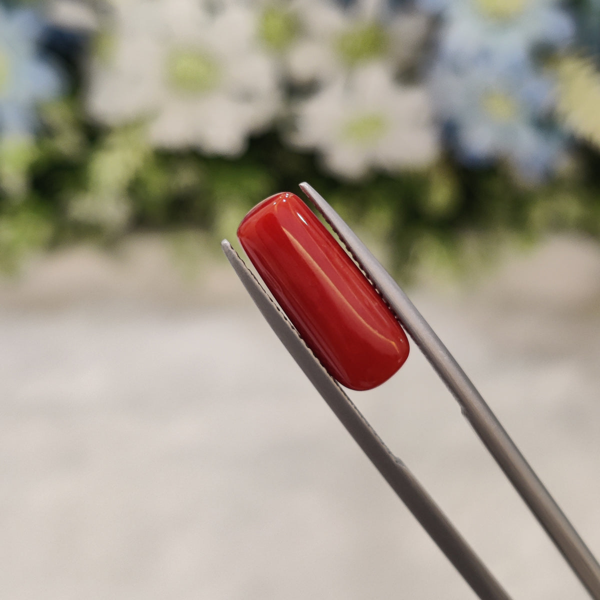 Natural Coral (Moonga) | Coral 41 | 5.17 Carat | Certified