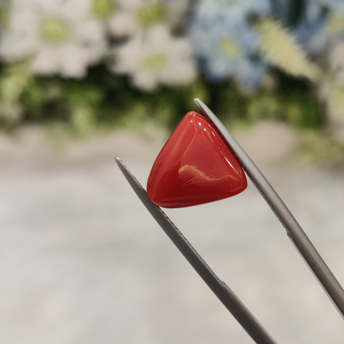 Natural Coral (Moonga) | Coral 43 | 5.77 Carat | Certified
