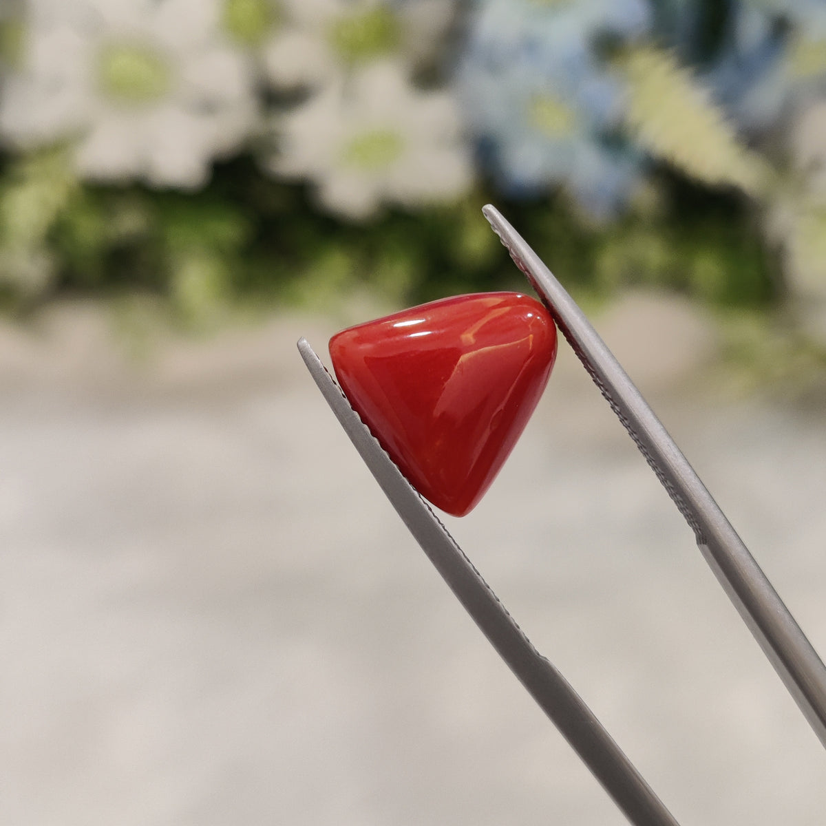 Natural Coral (Moonga) | Coral 43 | 5.77 Carat | Certified