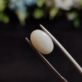 Opal | OPAL 100 | 1.58 Carat