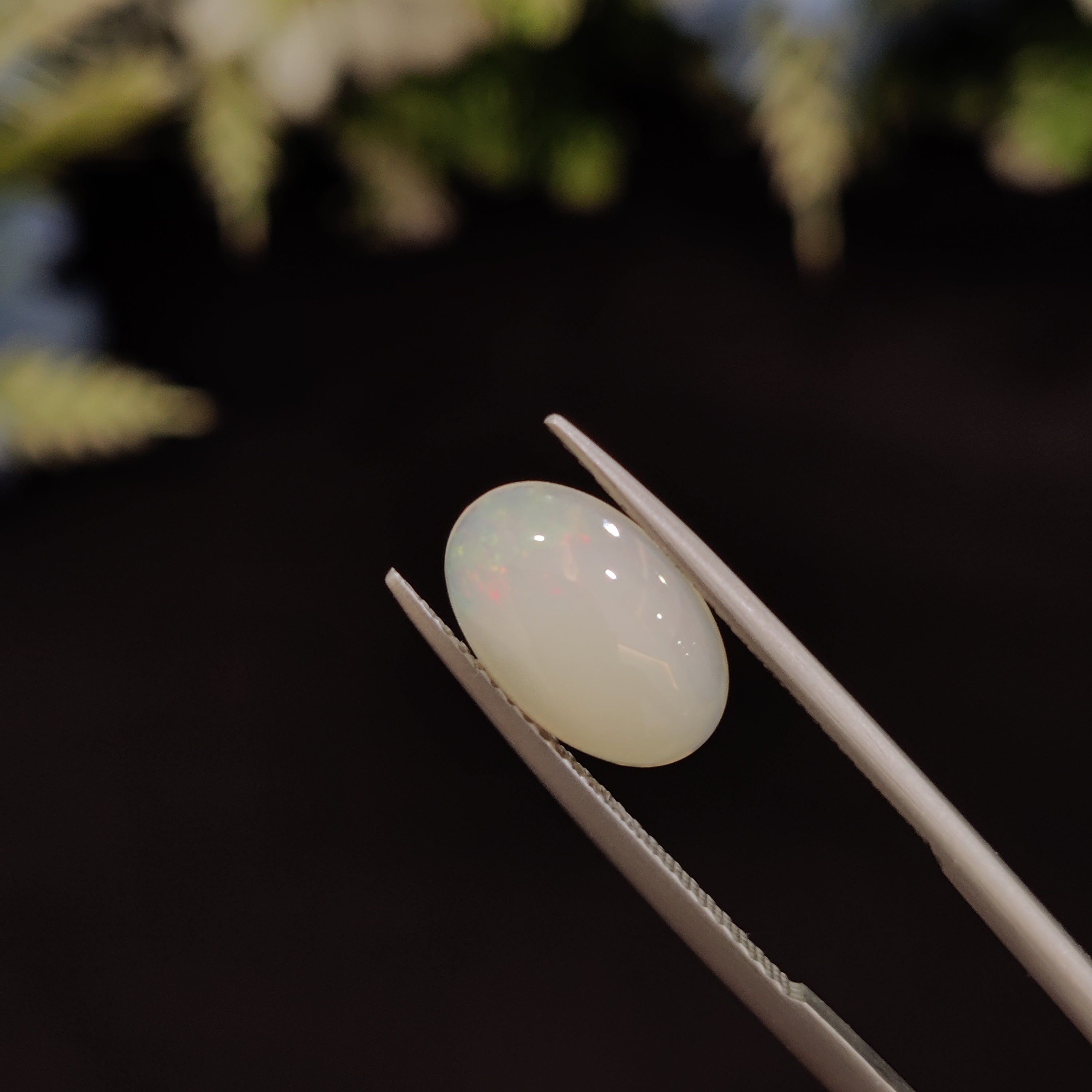 Opal | OPAL 112 | 1.77 Carat