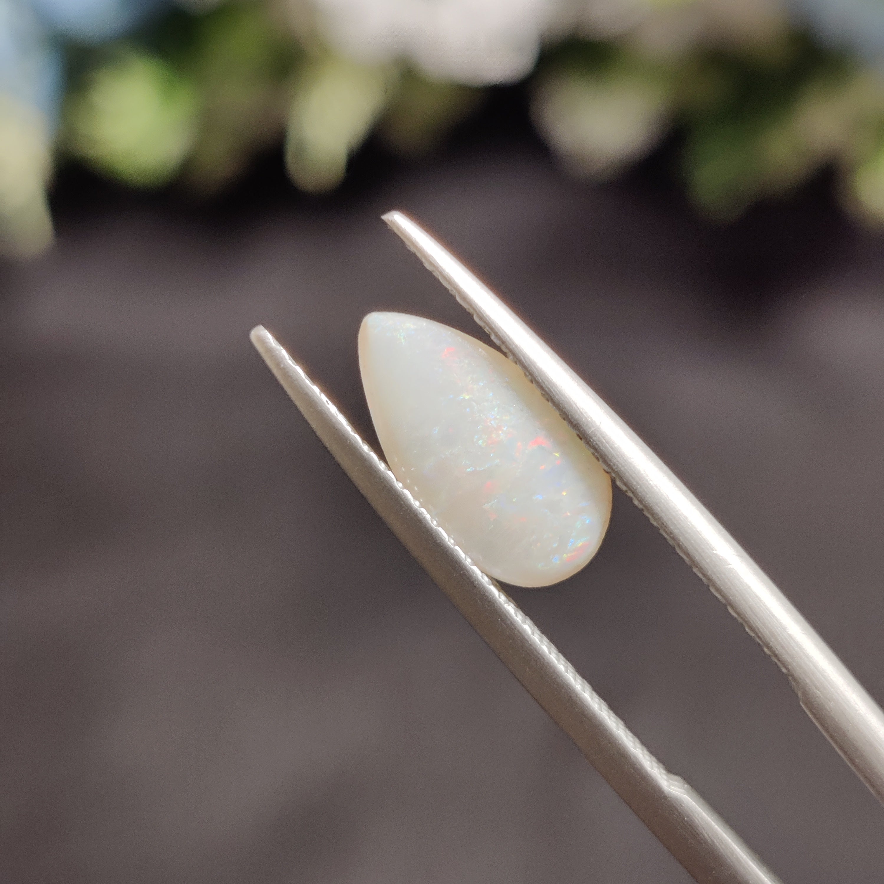 Opal | OPAL 93 | 0.75 Carat