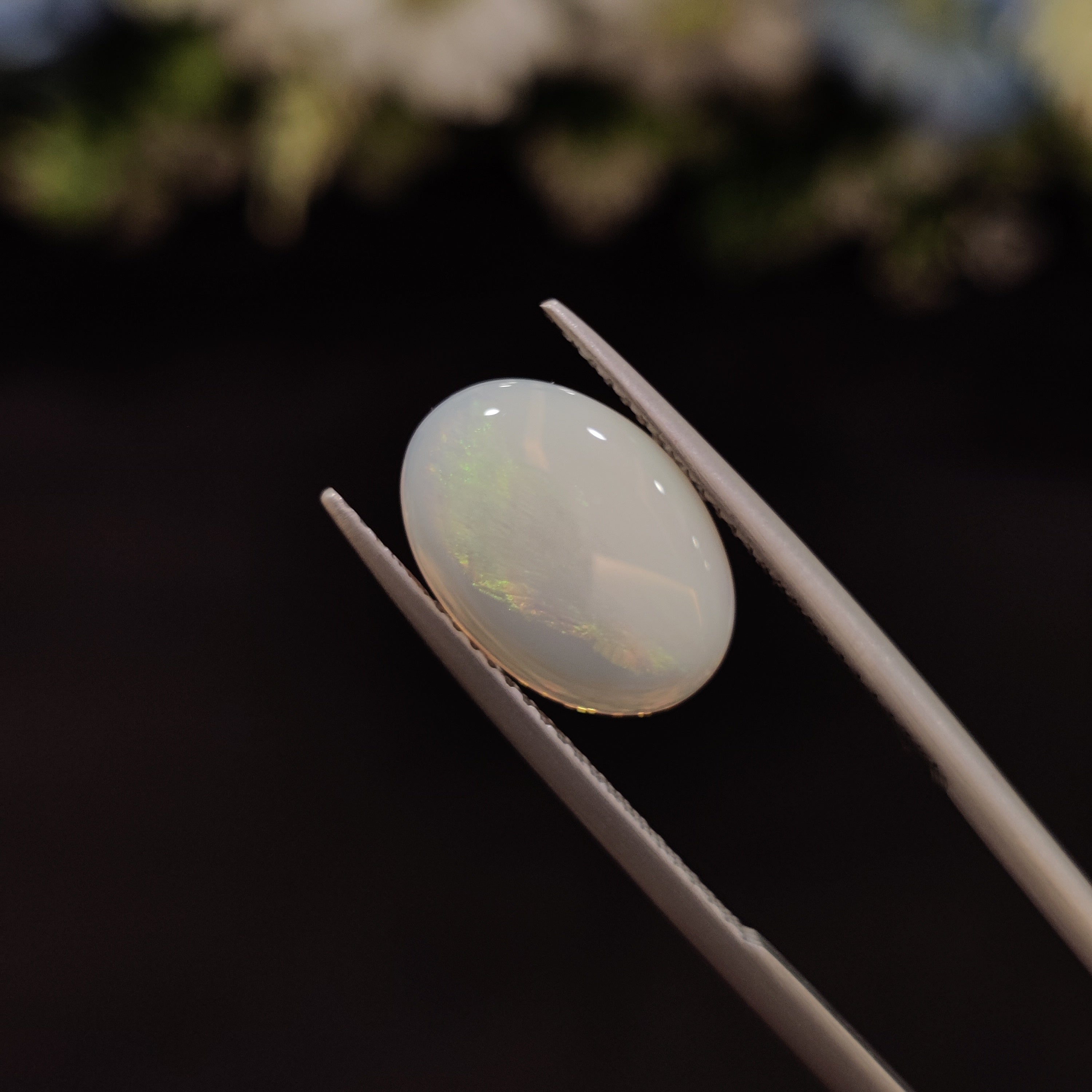 Opal | OPAL 19 | 2.53 Carat