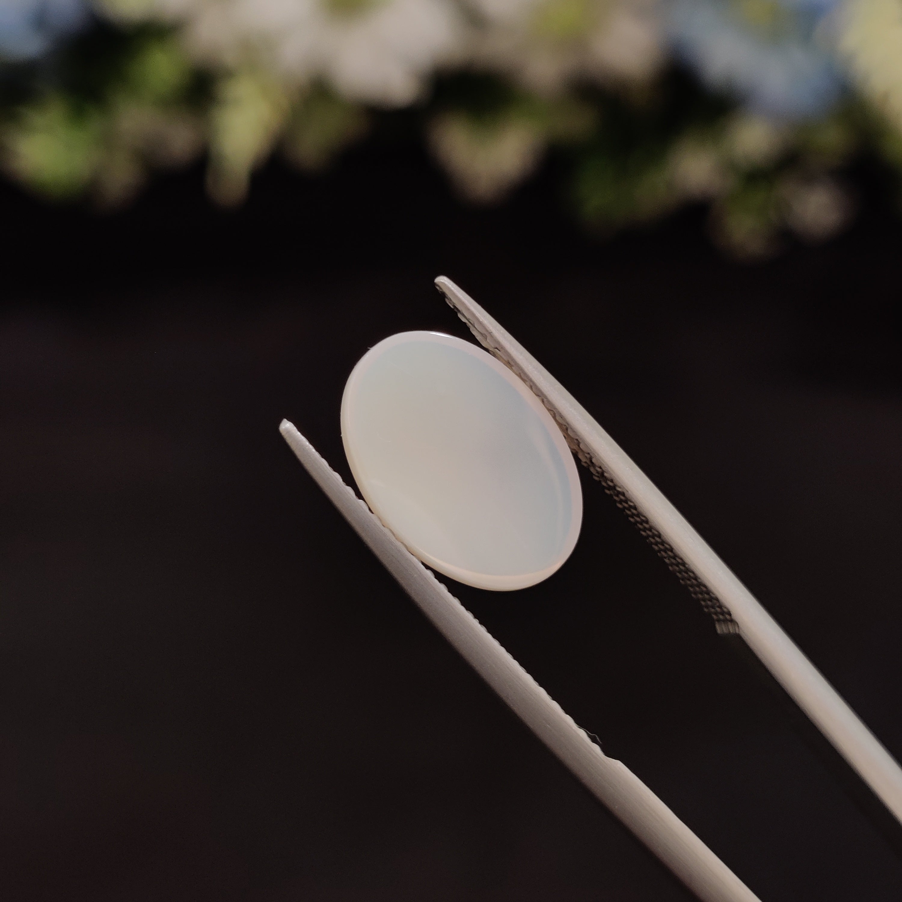 Opal | OPAL 19 | 2.53 Carat