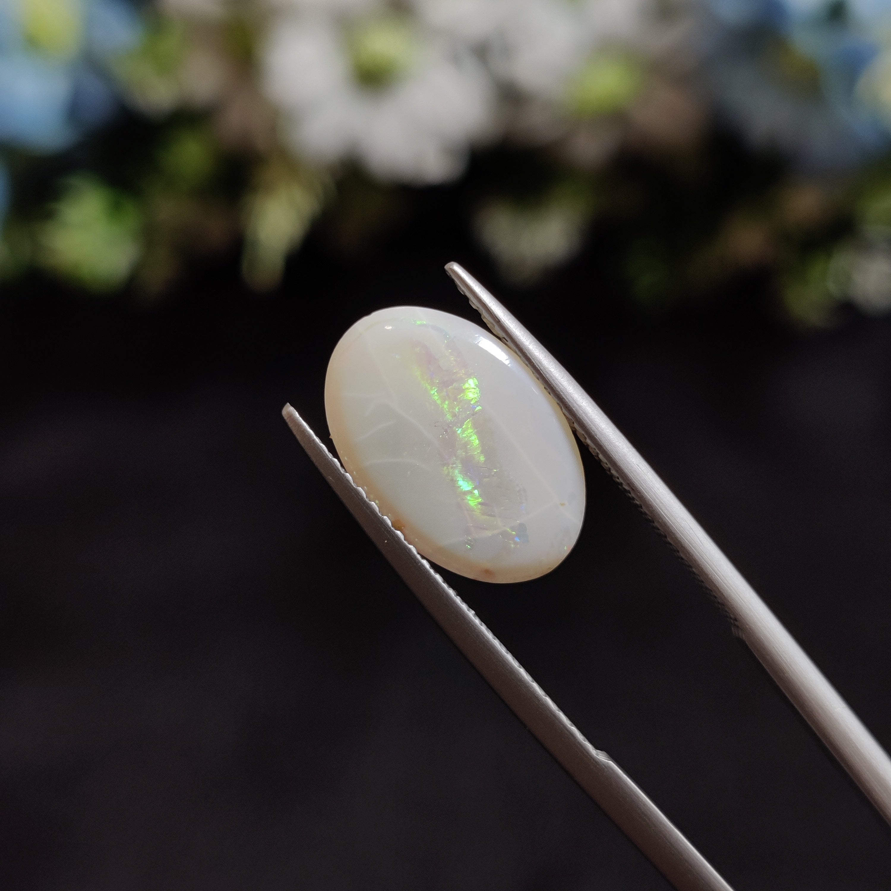 Opal | OPAL 95 | 2.78 Carat