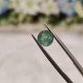 Emerald | EM 337 | 1.03 Carat