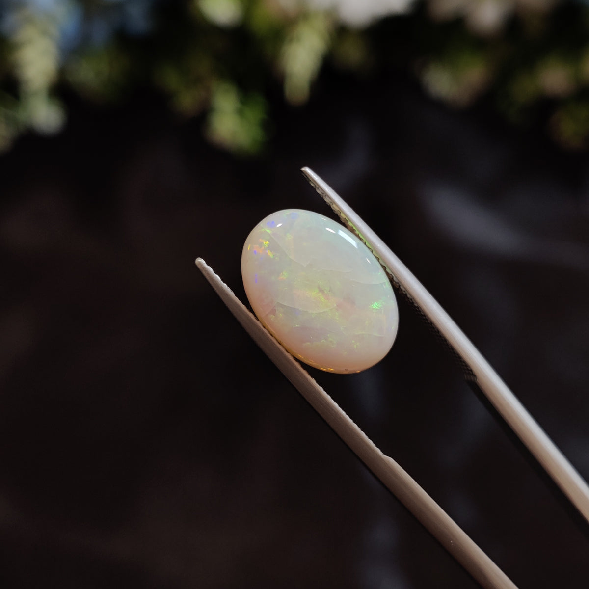 Natural Opal | Opal 149 | 3.99 Carat | Certified
