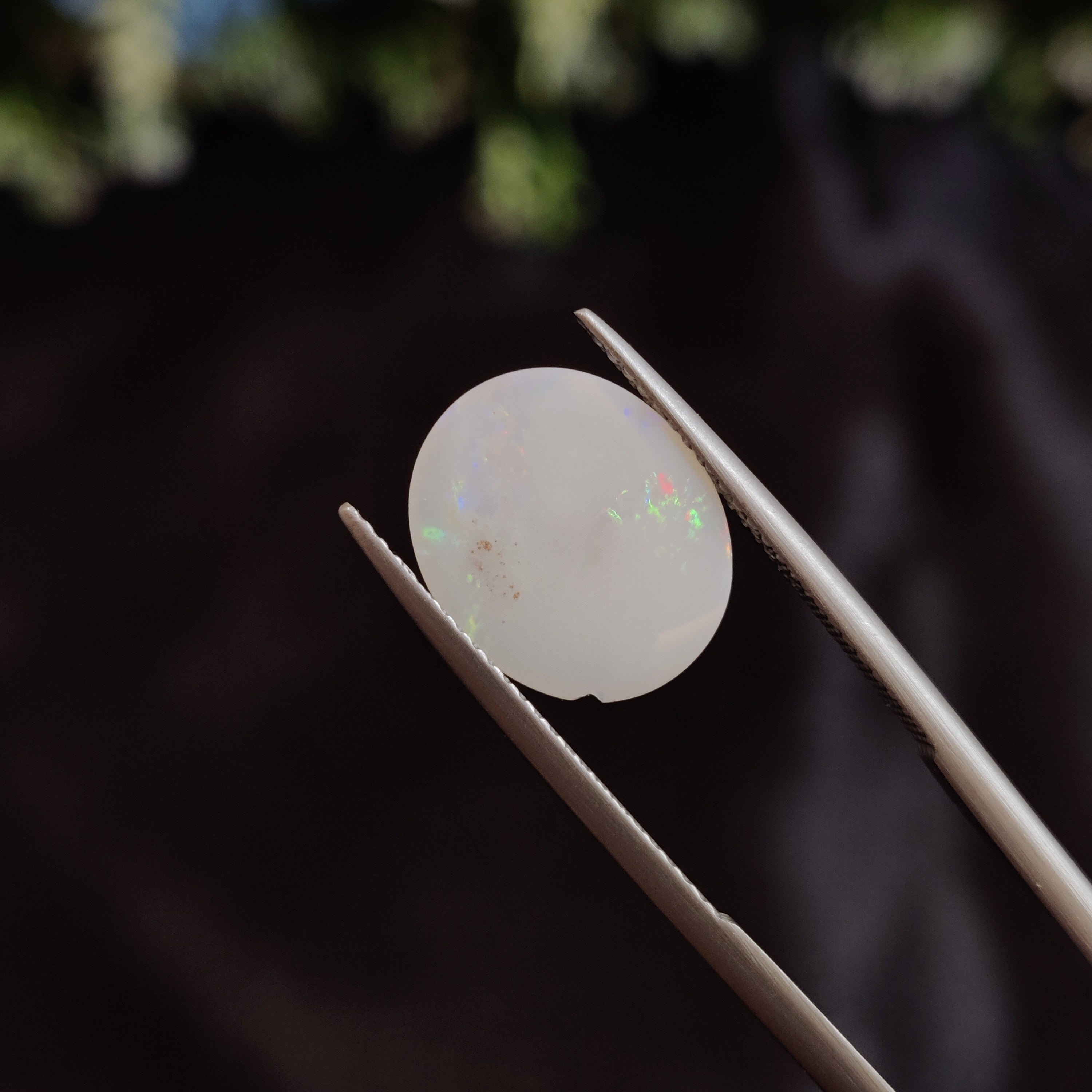 Opal | OPAL 13 | 2.28 Carat