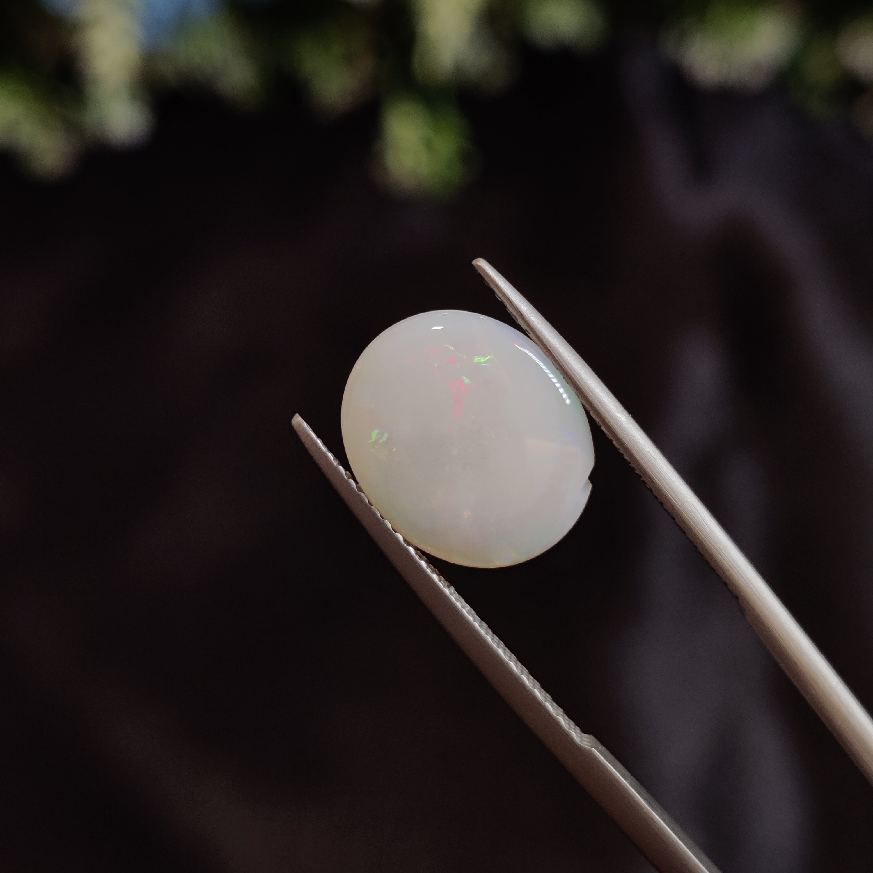 Opal | OPAL 13 | 2.28 Carat