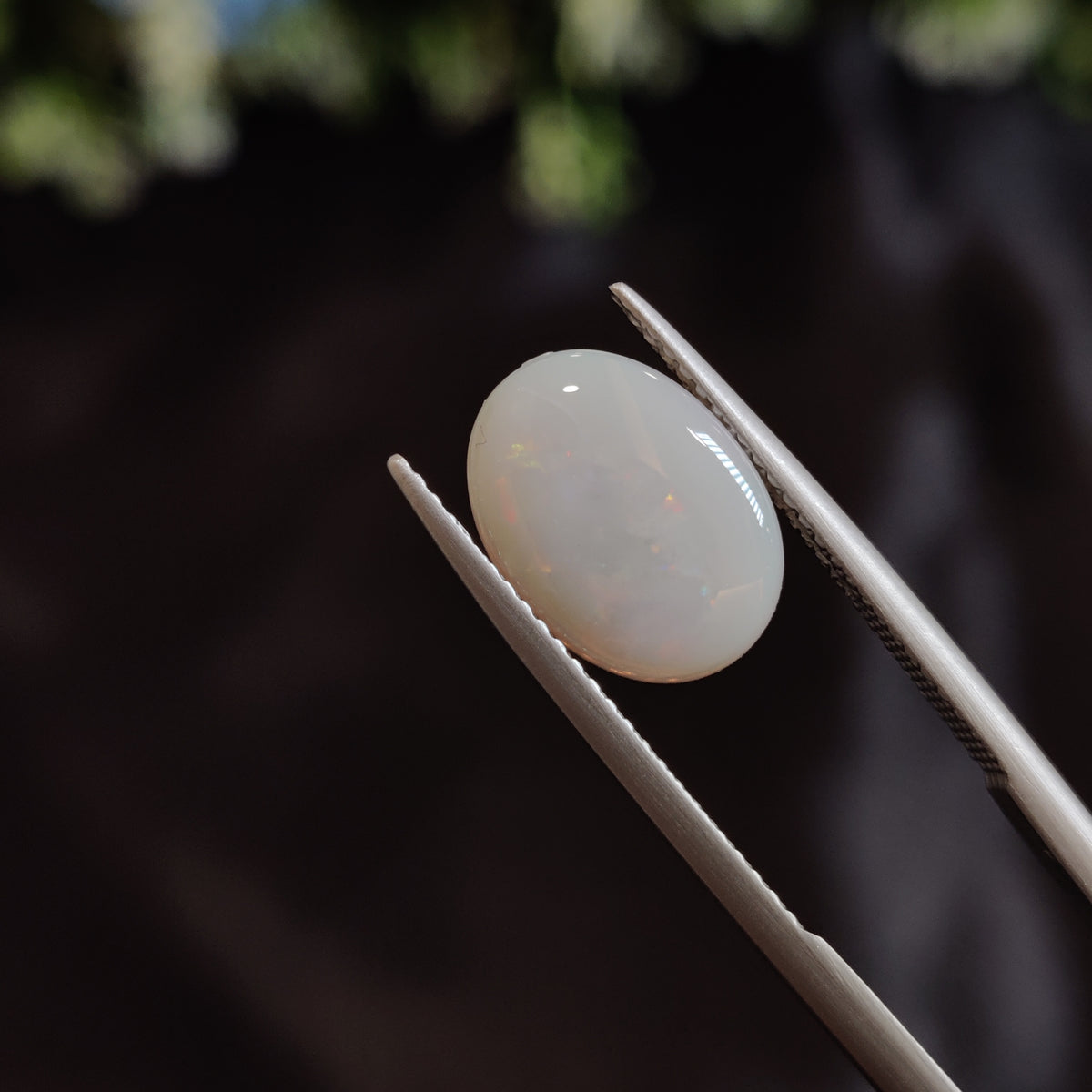 Natural Opal | Opal 14 | 2.62 Carat | Certified