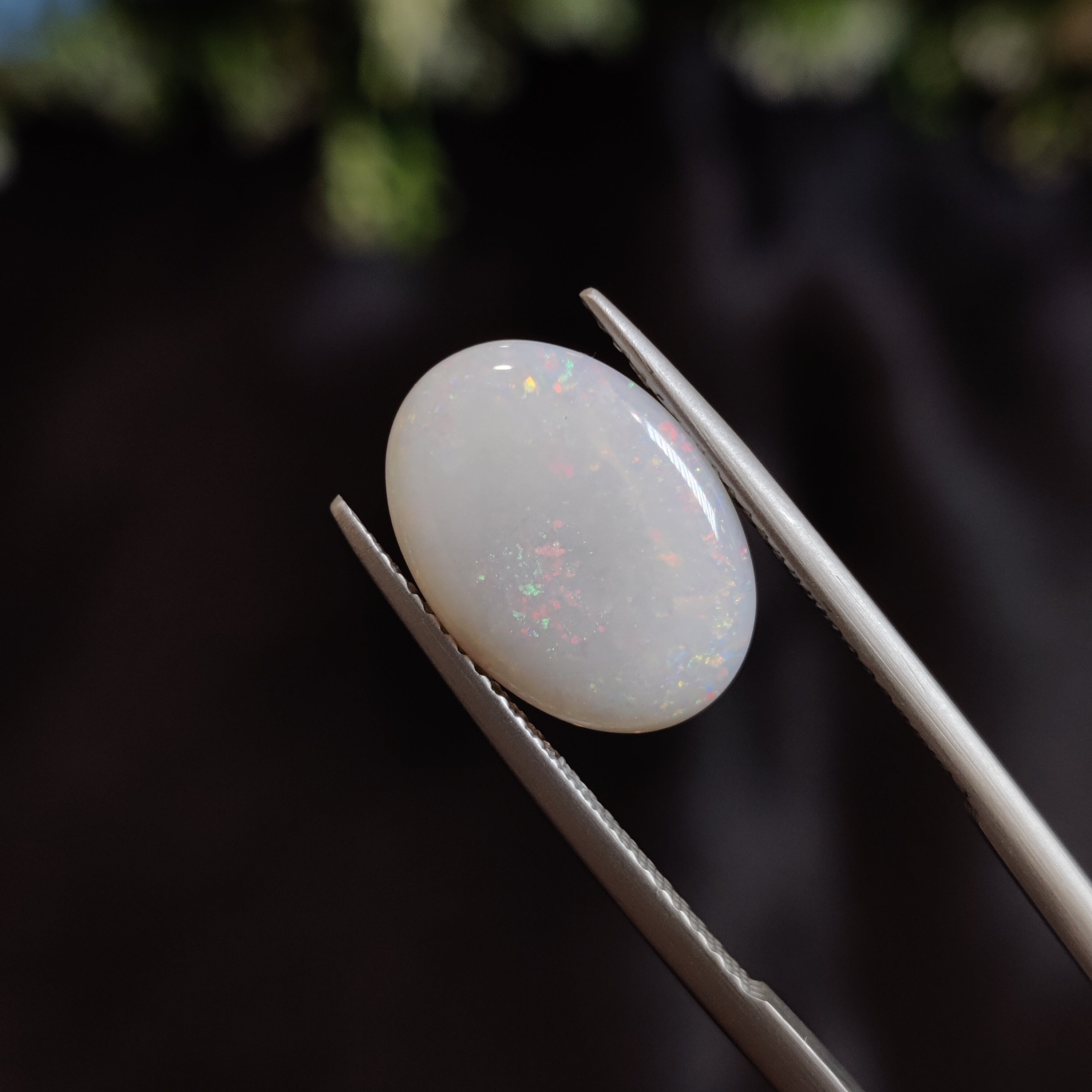 Opal | OPAL 17 | 2.69 Carat