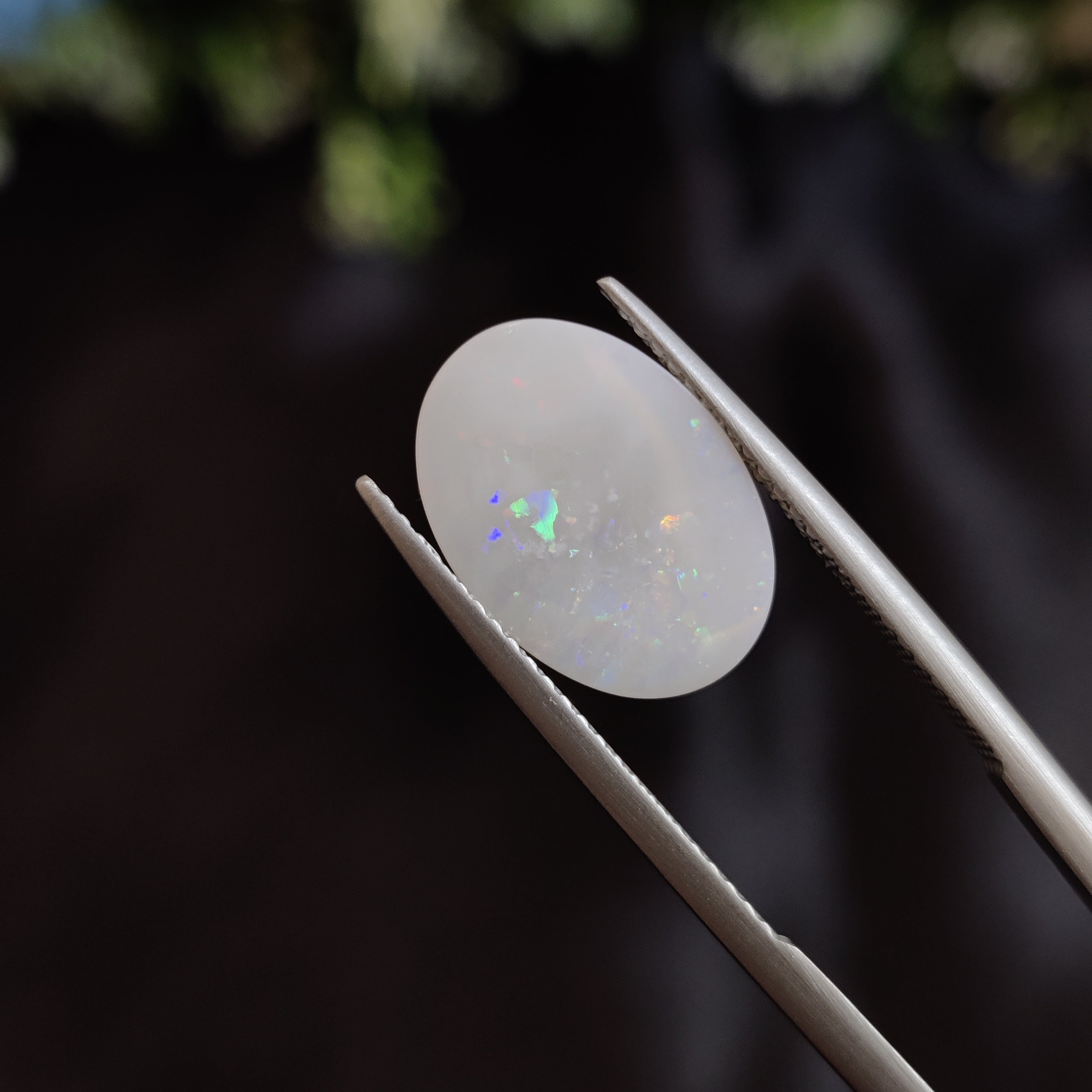 Opal | OPAL 17 | 2.69 Carat